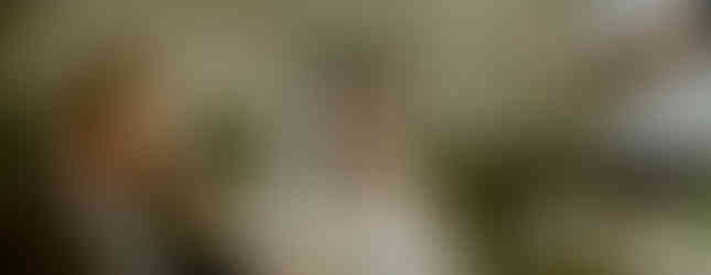 bride and groom tearing up at father of bride speech