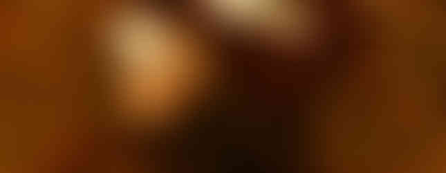 couple rolling through fall leaves together