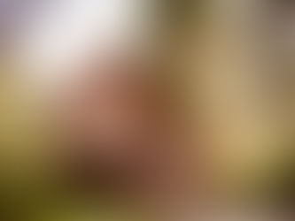 Photographing a Cozy Airbnb Stay in Ouray, Colorado