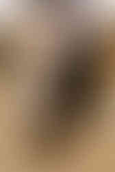 Dog sitting in front of couple during memphis maternity photoshoot