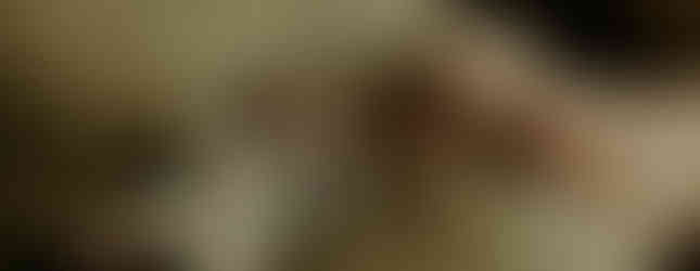 baby laying on bed where dog came up to say hi