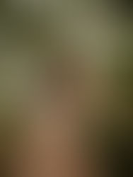 Whimsical portrait session Belton Texas