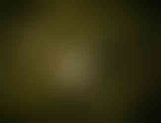 Flowers laying down in grass