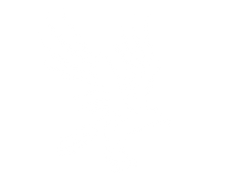 The Wildlife Project