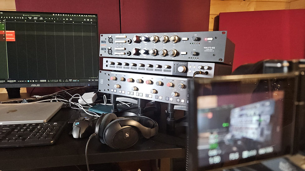 Preamplificatori Analogici Esterni