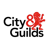 City and Guilds, Level 2, Dog Grooming Assistant