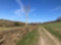 54424579311_ab0c30ff69_k.jpg
