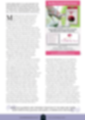 Every Bride and Bridesmaid needs Heel Stoppers