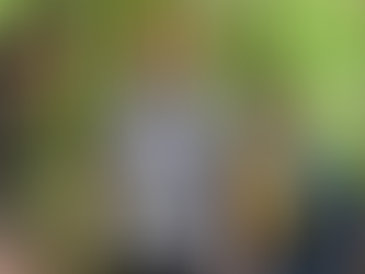 'Please Don't Destroy: The Treasure of Foggy Mountain': A Promising, Yet Scattershot Debut