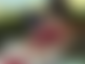 'The Boy and the Heron': An Astonishing Masterpiece from Hayao Miyazaki