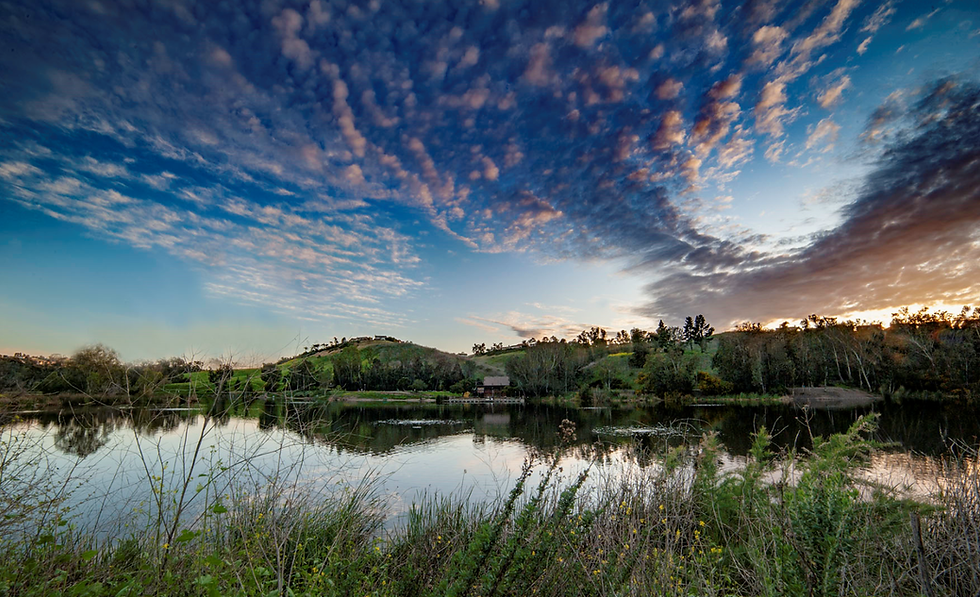 lagunaniguelregionalpark-1.png