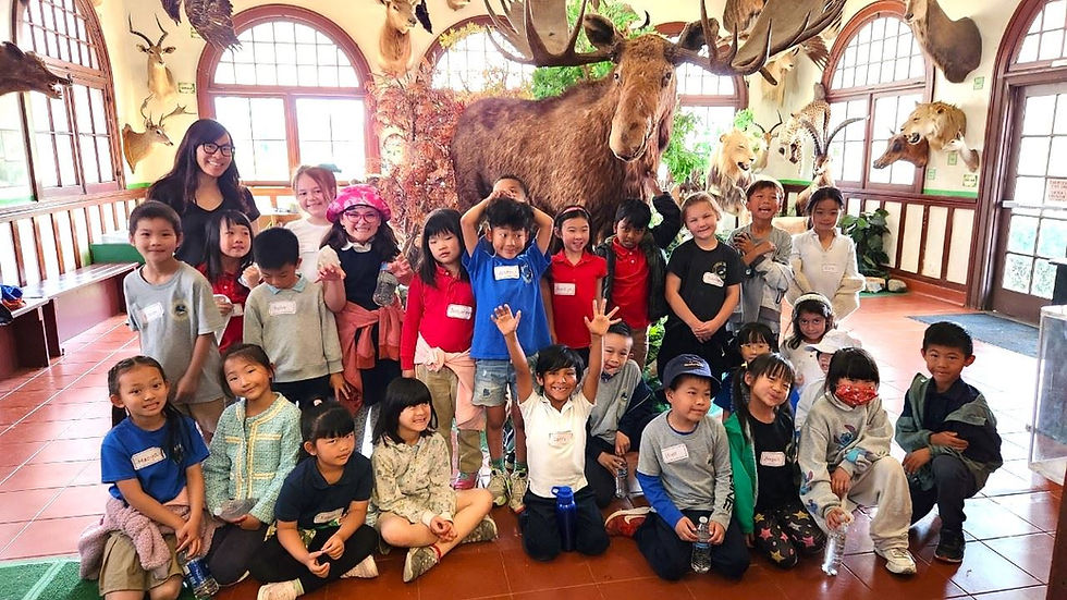 childrensmuseumlahabra-3.jpeg