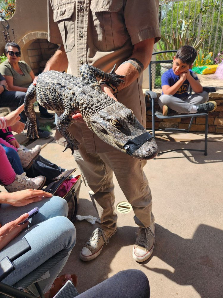 jurassicparties-8.jpg