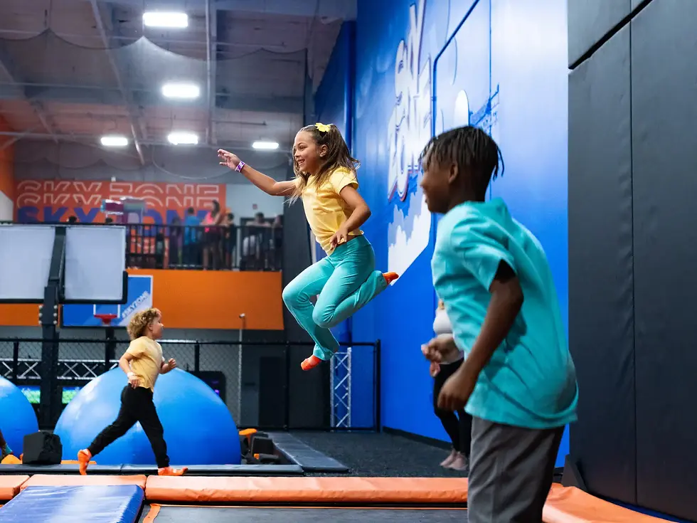 skyzone-9.jpg