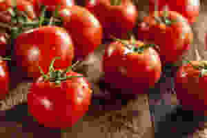tomatoes can protect against sunburn