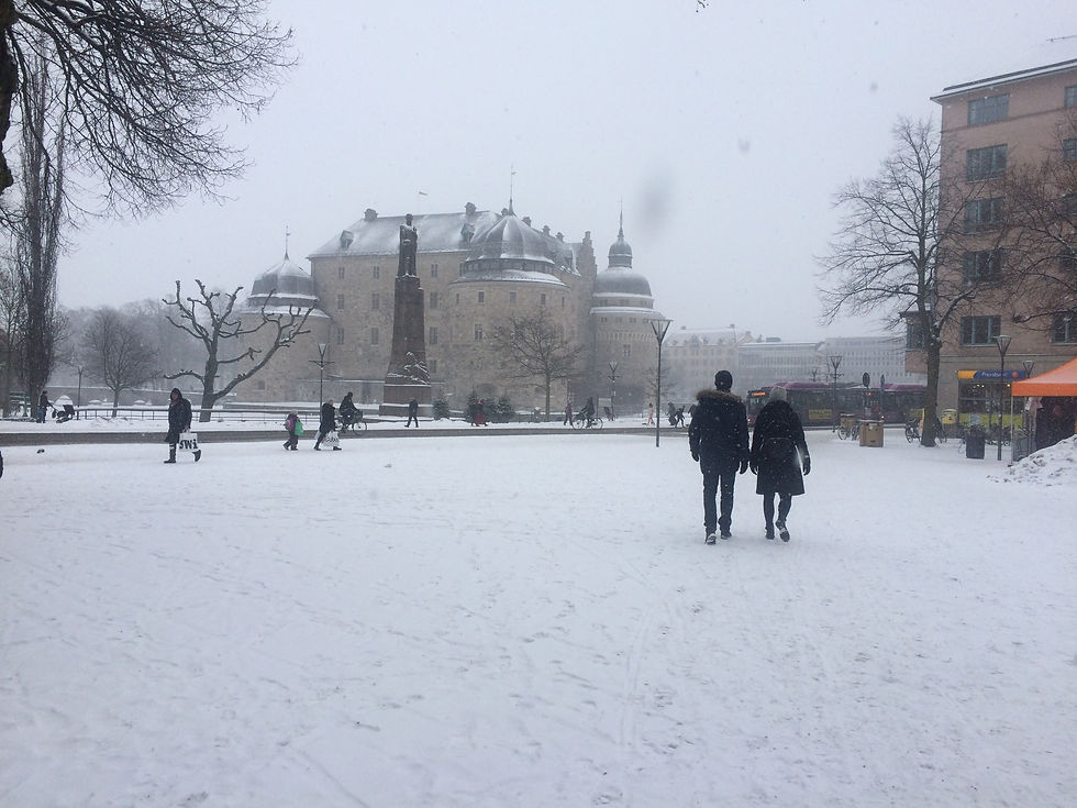 Winter in Örebro 2018