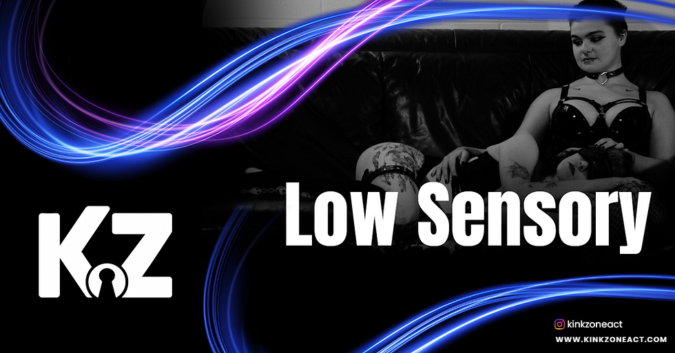 KZ Low Sensory