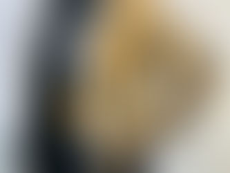 $50 Off Wool Jackets for a limited time!