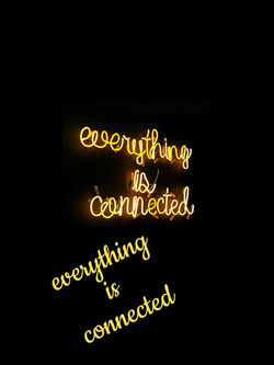 everything is connected