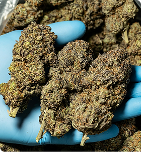 Strane Cannabis Products | Positive Energy Ocean City MD Strane Cannabis Products | Positive Energy Ocean City MD