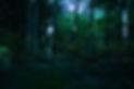 NocturroBottle_KV_Nobottle-2.jpg