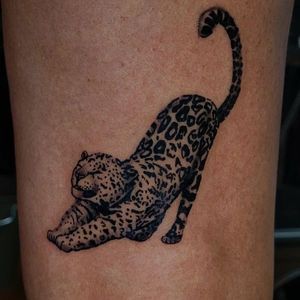 Crouching jaguar