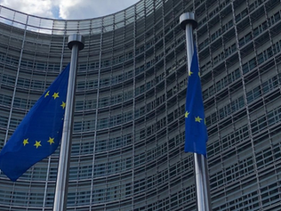 13th European Union-Vietnam Human Rights Dialogue