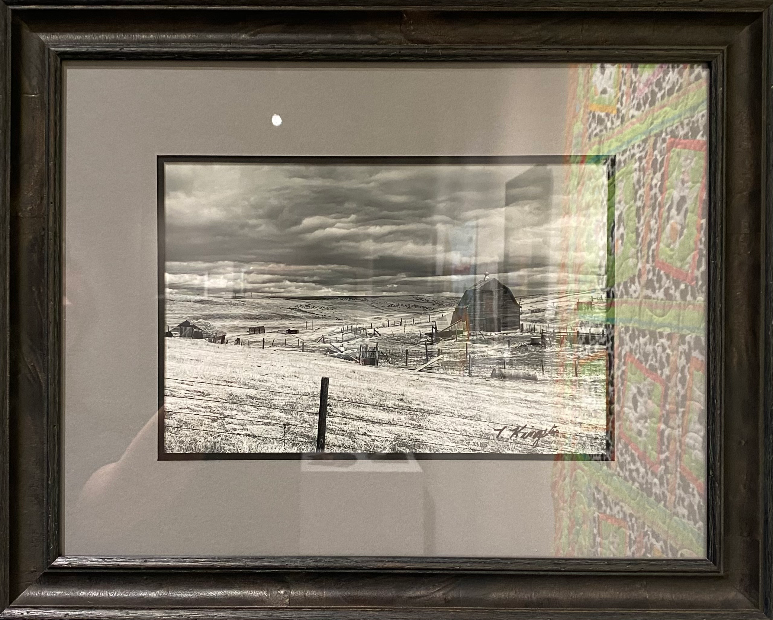 Shades of Gray by Terry Kingston