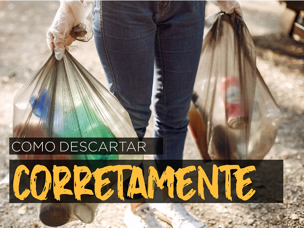 Como descartar corretamente o seu lixo 