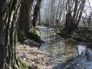 2/03/2019 BOULAY