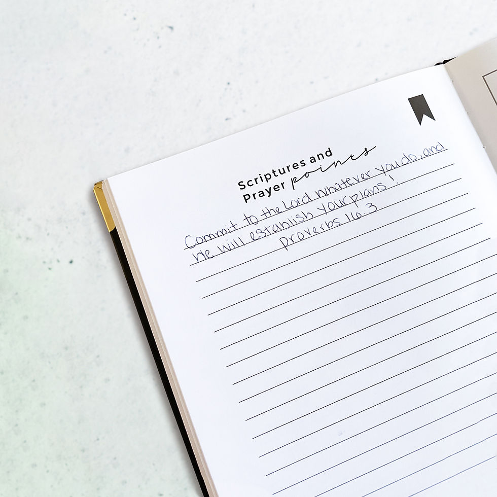 Thumbnail: Purposely Organized Vision Planner (Undated)