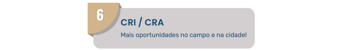 Indice_6.png