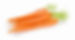 CARROTS WHOLE PER KG P.O.A
