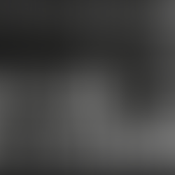 WCCD Member: Jacob Talkowski