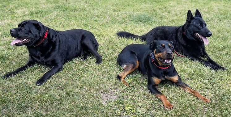 ChatGPT Image Mar 23, 2026, 08_03_12 PM_edited.jpg