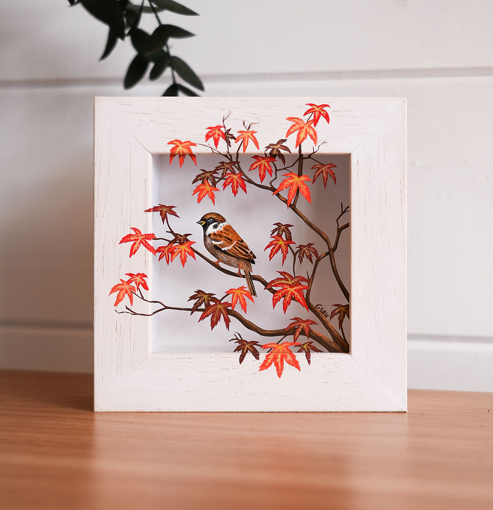 Thumbnail: Acer & Sparrow Miniature