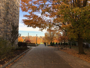 AdobeStock_370163699.jpeg