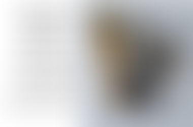 Vignette 6: About Watercolor Brushes