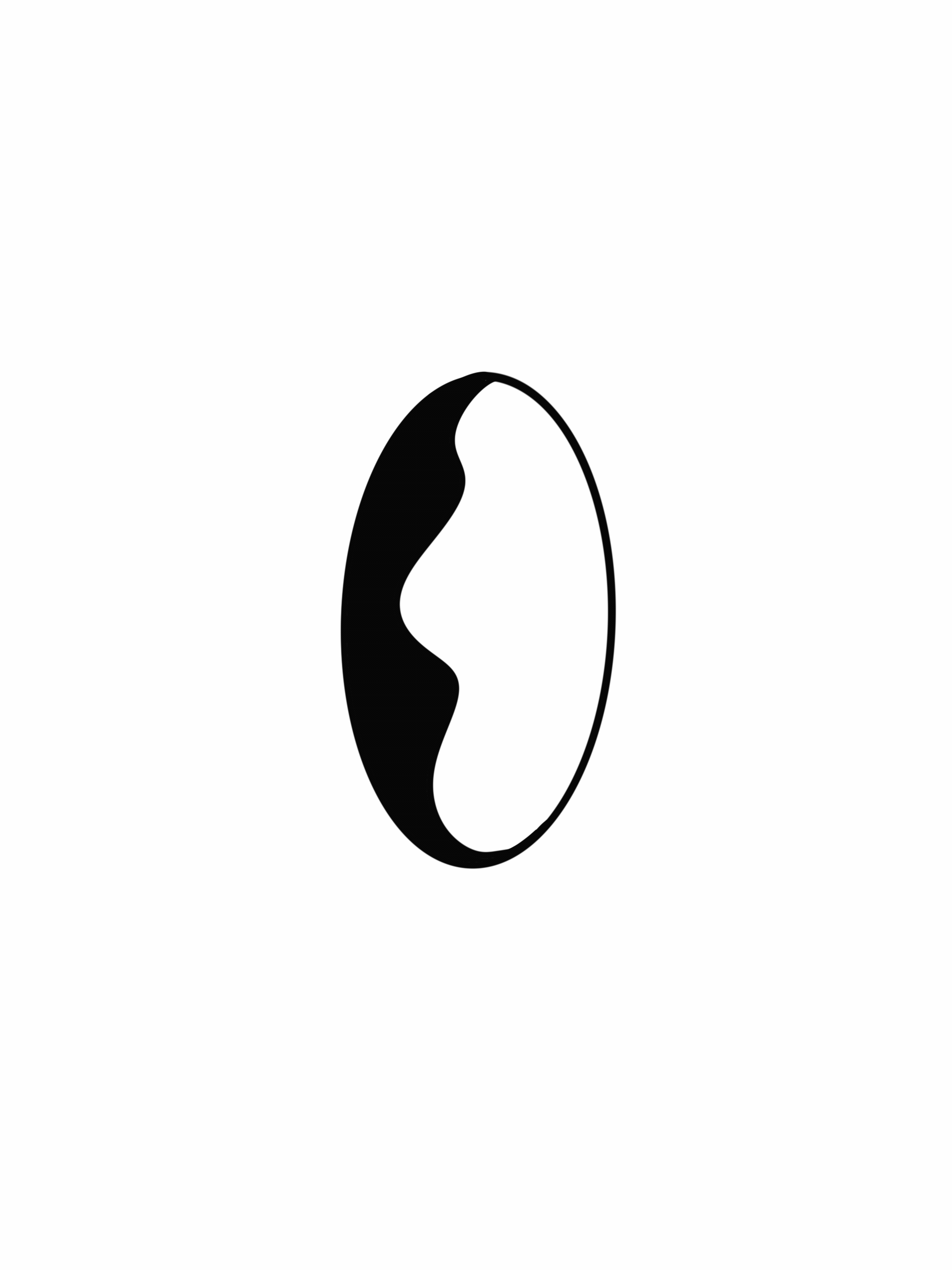 Untitled_Artwork 9.gif