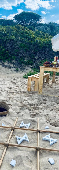 A Father’s day picnic