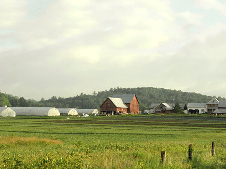 Summer concert and dinner on the farm!
