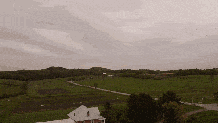 GIFLittleHelper_Share 5.GIF