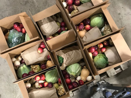 Get Your Fall Veggie Box!