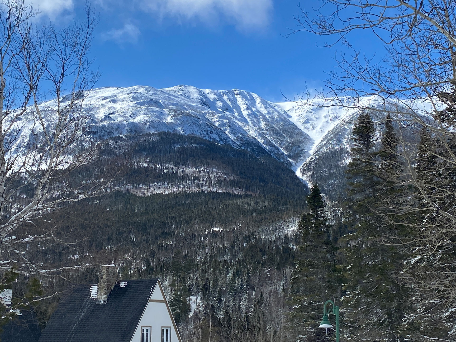 Mt. Albert