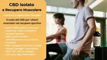guida completa al cbd per recupero muscolare