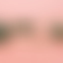 tessere in legno che compongono la scritta cbd is the remedi su sfondo rosa e due foglie di canapa sativa a destra e sinistra