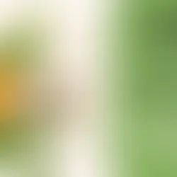 quante gocce di olio di cbd isolato per dormire guida su posologia