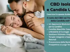 cbd isolato per candida uomo guida completa e cura integrata agrilab