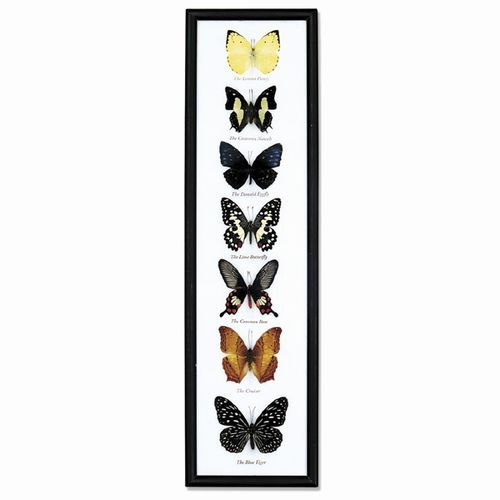 Thumbnail: Lighthouse Point Collection- framed butterflies