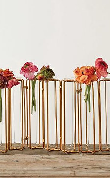 Biscayne Collection- test tube vases
